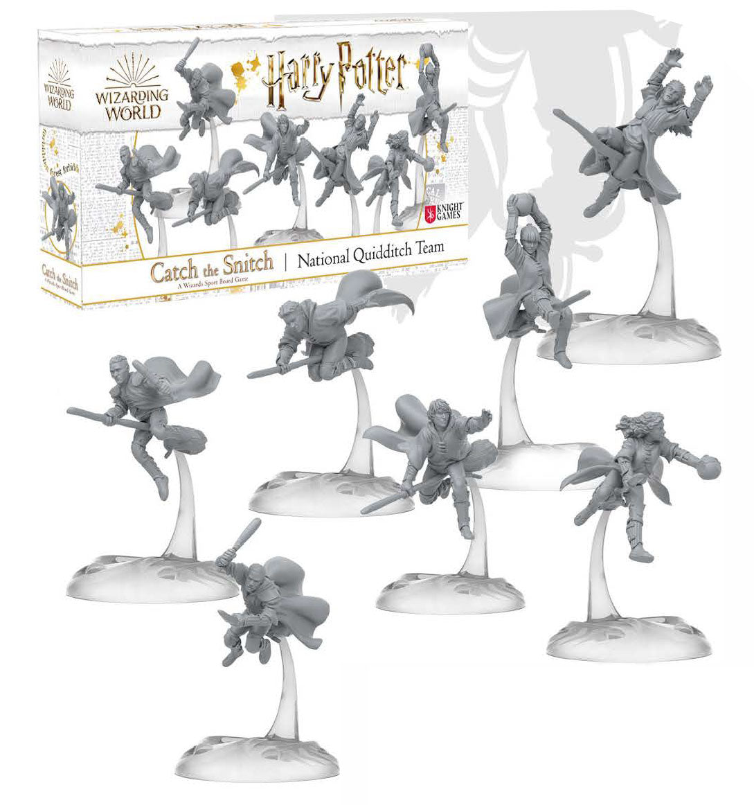 Harry Potter: Catch the Snitch - National Quidditch Team en Francais (PRECOMMANDE sortie en octobre 2023)