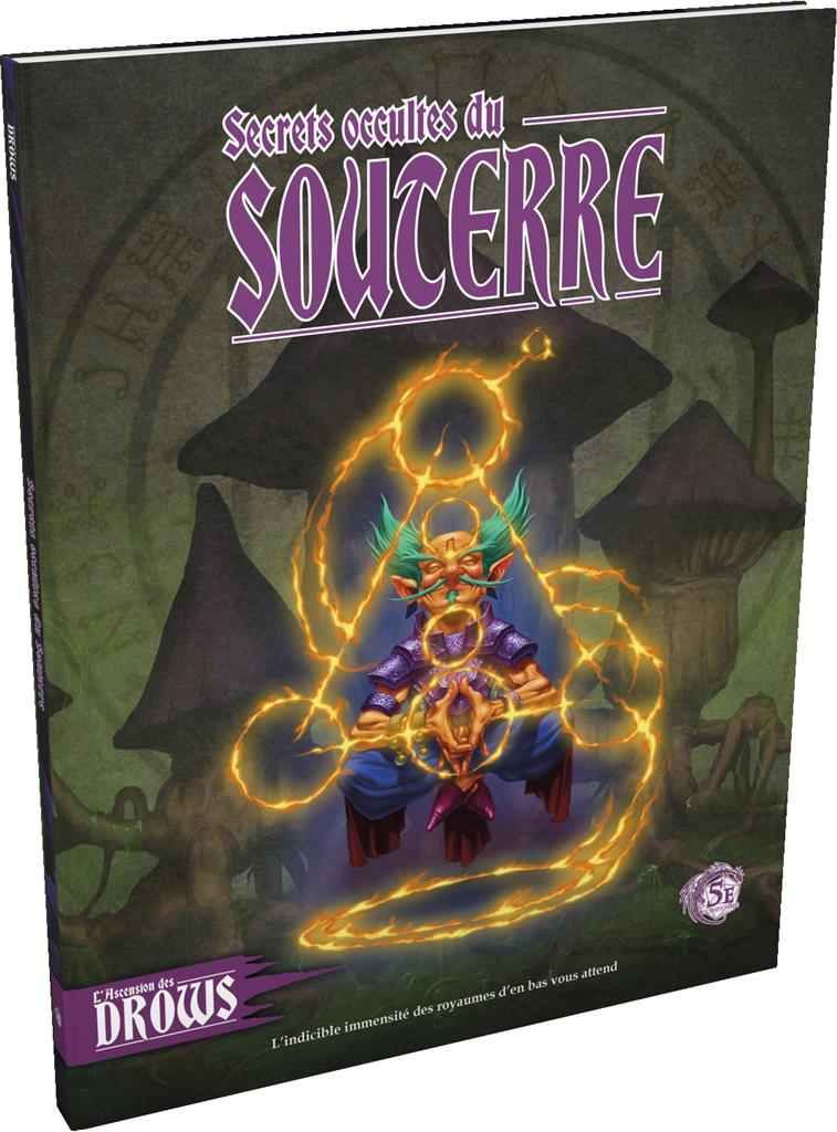 L'Ascension des drows : Secrets occultes