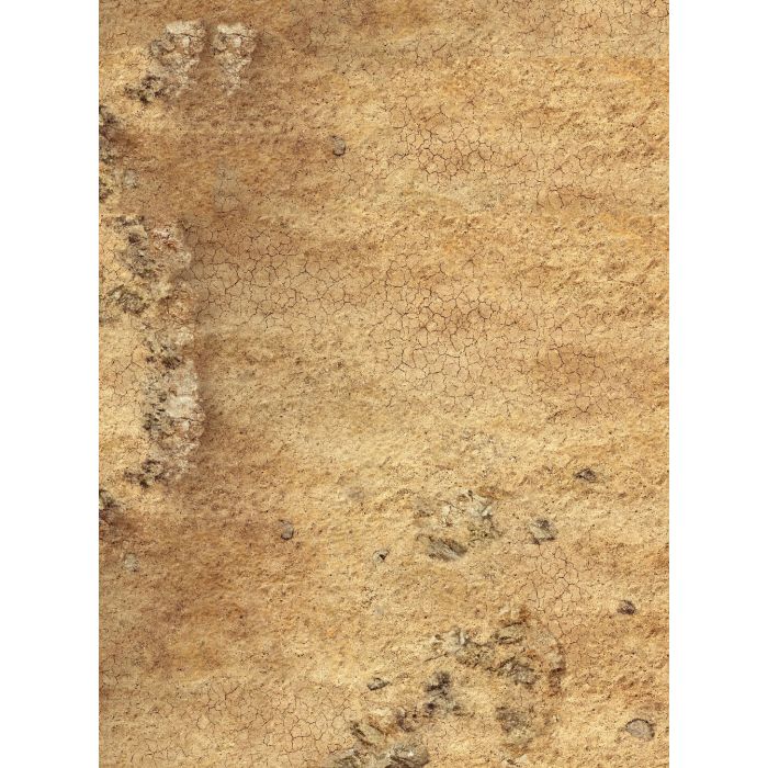 Rocky Desert – Tapis de jeu en caoutchouc simple face 72″x48″ / 183 x 122 cm