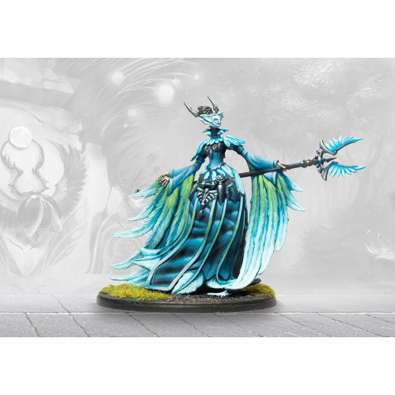 Conquest - Weaver Courts : Seanchas Sidhe