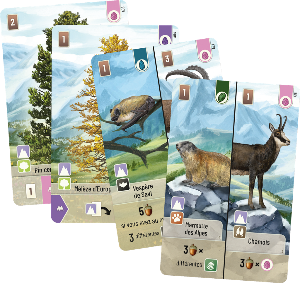 Forêt mixte : Alpine (Ext)