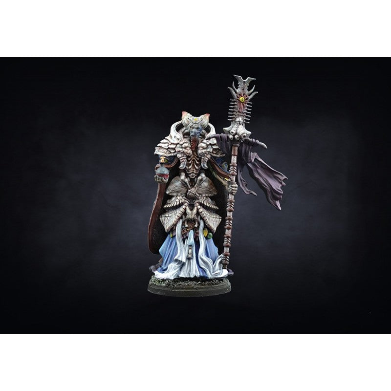 Conquest :Spires: Warband Set