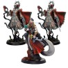 Warcrow Adventures Core Box (en Anglais)
