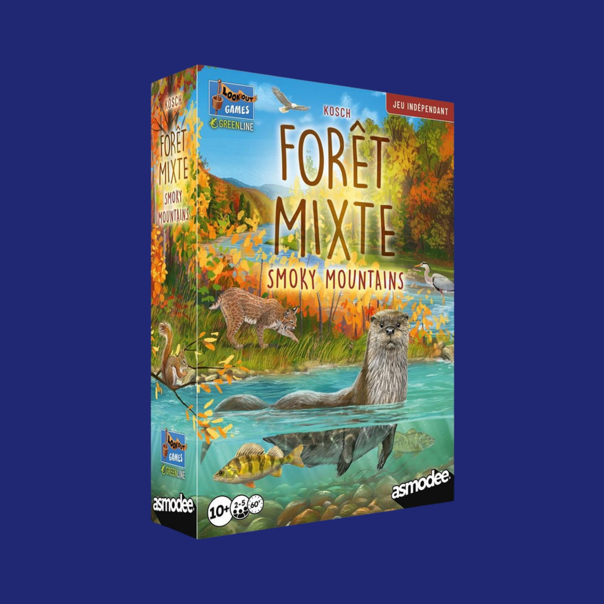 Forêt Mixte Smoky Mountains - 123JEUX