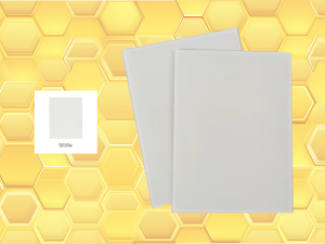Protèges cartes Premium (X50) BLANC Beeprotect
