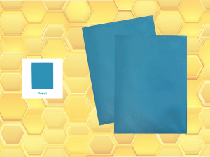 Protèges cartes Premium (X50) PETROLE Beeprotect