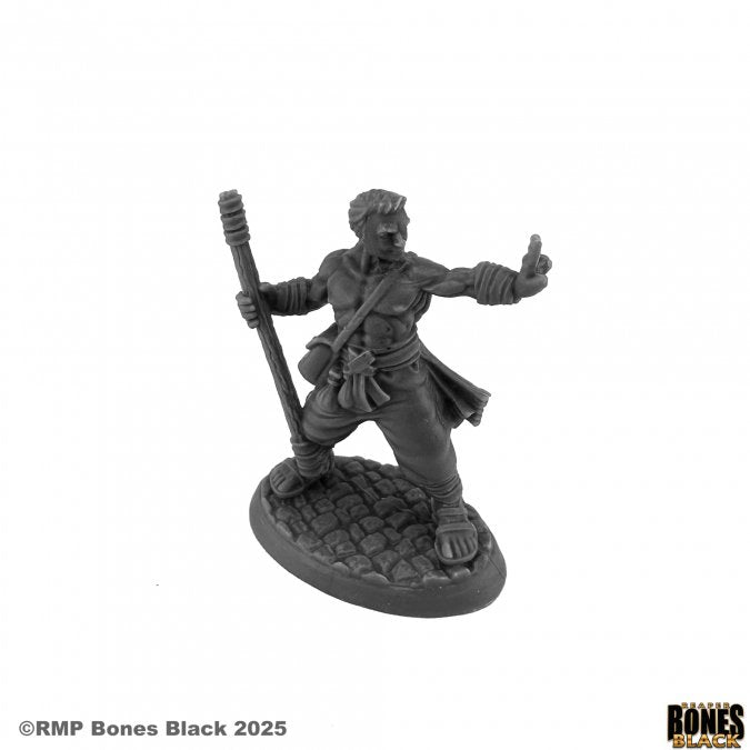 Reaper Miniatures : Jakob, Human Monk