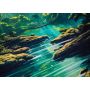 Tapis de jeu en caoutchouc pour jeux de cartes 24″x14″ / 61 x 35,5 cm – Jungle
