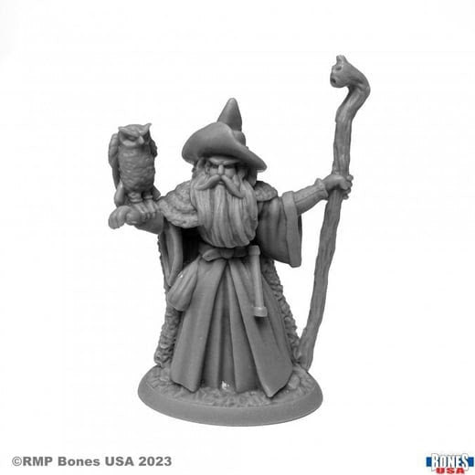 Reaper Miniatures : Amathor the Arch-Mage